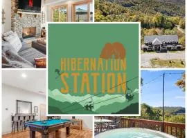 Hibernation Station - MTN Views near Asheville!