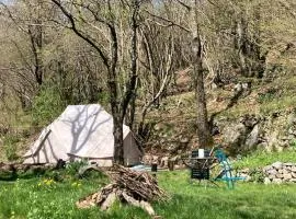 Grande Tente Tipi en pleine forêt
