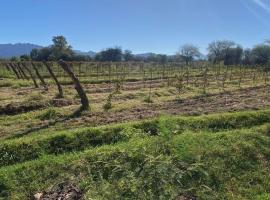 Finca La Dionisia, hotel v destinaci Tinogasta