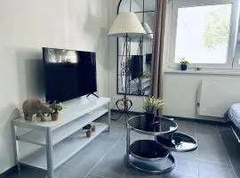 STUDIO tres pratique