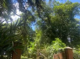 Abraço da Natureza