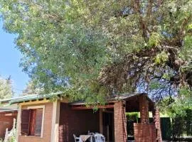 Cabañas del Molle