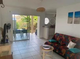 T2 Rez de jardin vue mer
