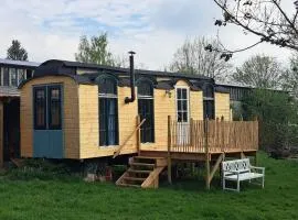 Zirkuswagen - Roulotte