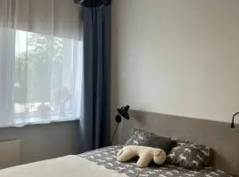 Apartment Mountain Blue