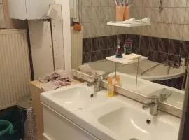Privat Zimmer in einer Wohnung zu vermieten