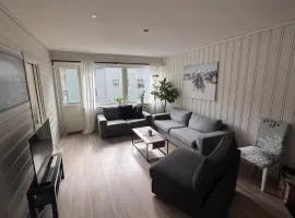 Apart, 4 pers, Central in Odda