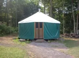 Charming Yurt Rental Nestled in the Forest near Friendsville, Maryland
