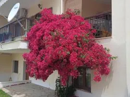 Mellonia
