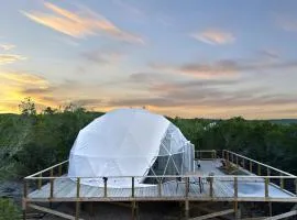 Luxury Glamping Retreat in Texas, Dome Rental for Perfect Nature Escapes