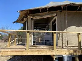 Fully-Equipped Safari Tent Rental in Burnet for Luxury Glamping in Texas