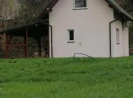 Domek Góry Sowie