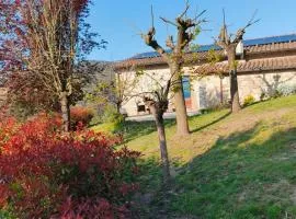 La Bottega di Torreluca