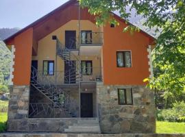 Guest House Gulba, hotel v destinaci Mestia