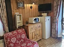 Appartement cosy 2 pièces, 4 pers., proche télécabine, parking, animaux acceptés - FR-1-676-95