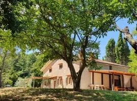 Stirpe nel Bosco - Allocco