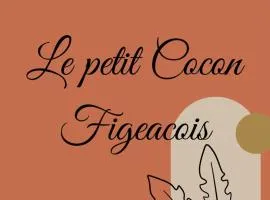 Le petit cocon Figeacois