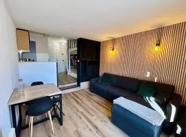 Studio moderne 26 m2 tout confort - 5 couchages - La Foux d'Allos