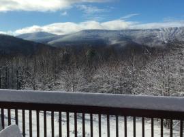 Beautiful Log Ski Cabin Belleayre Mtn Views, hotel v destinaci Pine Hill
