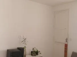 Apartamento Tijuca para estadia no Show da Lady Gaga