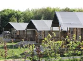 Safari Lodges XL