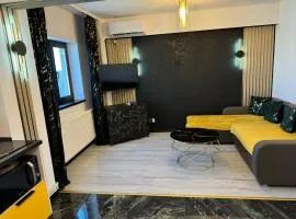 Modern 2BR Apartment Central Fast Wi-Fi Free parking