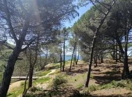 Casa Jacintos - Sintra, Magoito