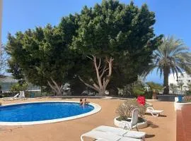 Mirador Paraiso