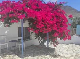 Athanasia's Home