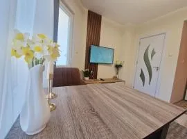 YaVi's Central Apartment