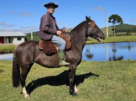 Pousada Luar dos Campos, chalet de montaña en Bom Jardim da Serra