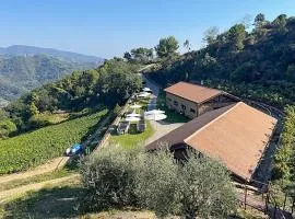 Beautiful Home In Dolceacqua