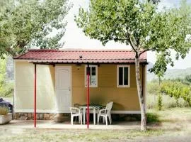 Belvilla by OYO Vakantiepark IsÃ¡bena 1