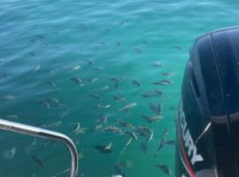 LANCHA VIVAz, hotel in Paraty