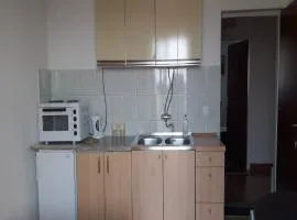 Apartment in Brodarica near Beach Gaj