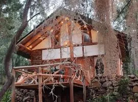 CABAÑA MÁGICA CUCUNUBA