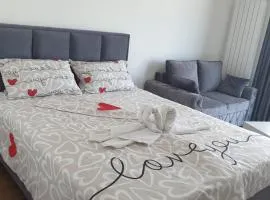 Delta Lux Apartman
