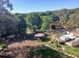 Face à la garrigue