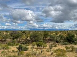 Sausage Tree Safari Camp
