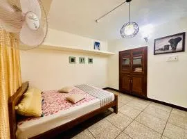 Villa Plalnters