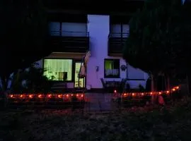 FeWo Harzer Bergwind Sankt Andreasberg, 1 Hund bis 30Kg willkommen, große eingezäunte Terrasse mit Gasgrill