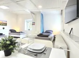 -CS24- 1 room Apartment with terrace - ALT03