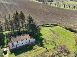 SE143 - Senigallia, casale immerso nel verde delle colline