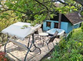 Wine Hill House Trsek, Hotel in Vinagora