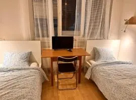 Apartmans and ROOMS with PARKING Turgenevova - Olomoucka