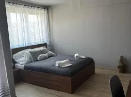 Piemona Mini Apartman
