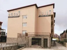 Tribu apart Hotel bakuriani