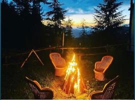 Sneha Cottage, Tirthan Valley - #riverside #premium room #cafe #comfortable stay #garden with fireplace #property of the year, hotel a Jibhi