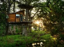Adventures Await at this Stunning Tree House Retreat in Texas
