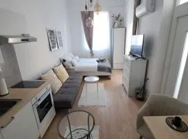 CozyCentralApartment